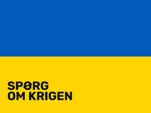 Spørg om valget: Hvad er forskellen mellem det danske og svenske valg?